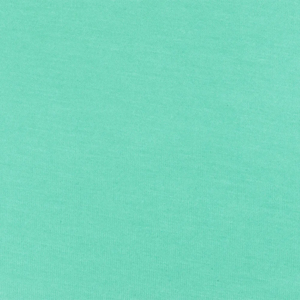 Light Green Solid Stretch Spandex Rayon Modal Jersey Knit Fabric